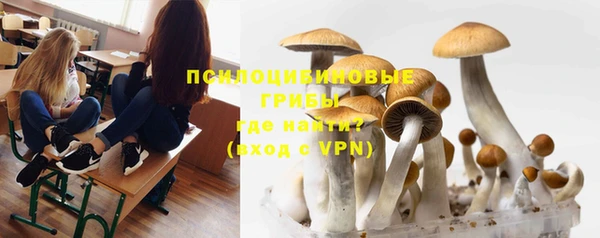 эйфоретик Балахна