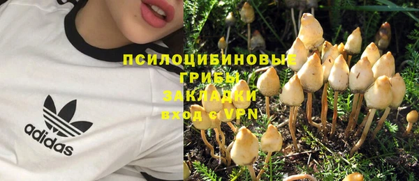 эйфоретик Балахна