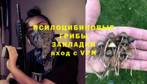 эйфоретик Балахна
