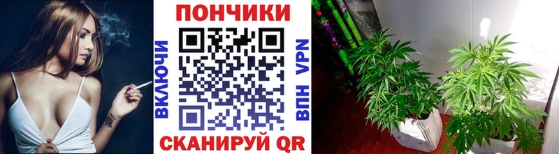 МАРИХУАНА планчик  blacksprut маркетплейс  Заозёрск 